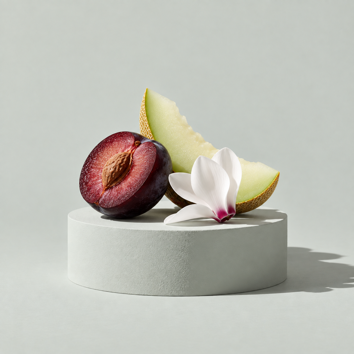 Duftzutaten von VELUN 06 PURE: Pflaume, Melone und Alpenveilchenblüte auf einem schlichten Sockel