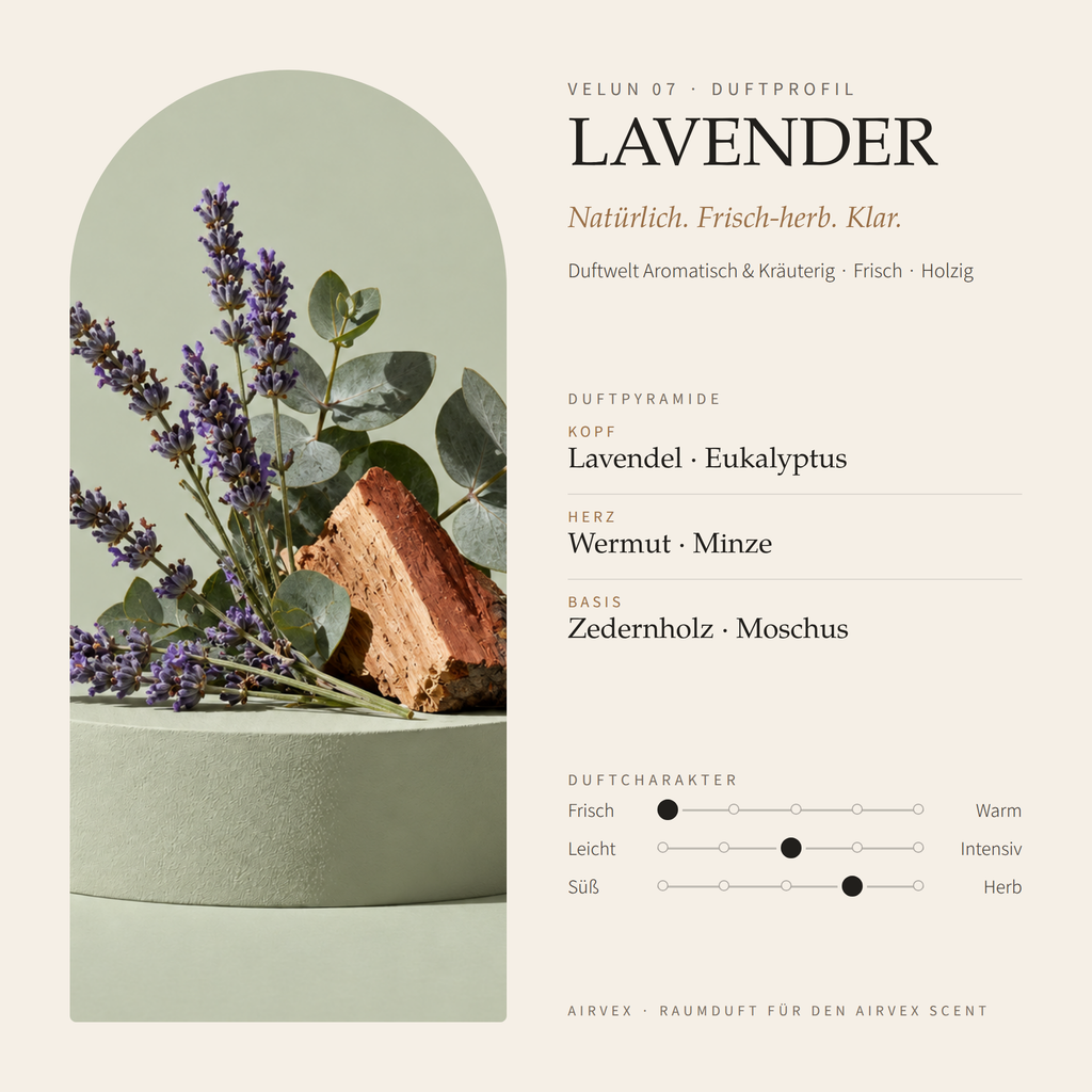Duftprofil von VELUN 07 LAVENDER: Duftpyramide mit Kopf-, Herz- und Basisnoten und Duftcharakter
