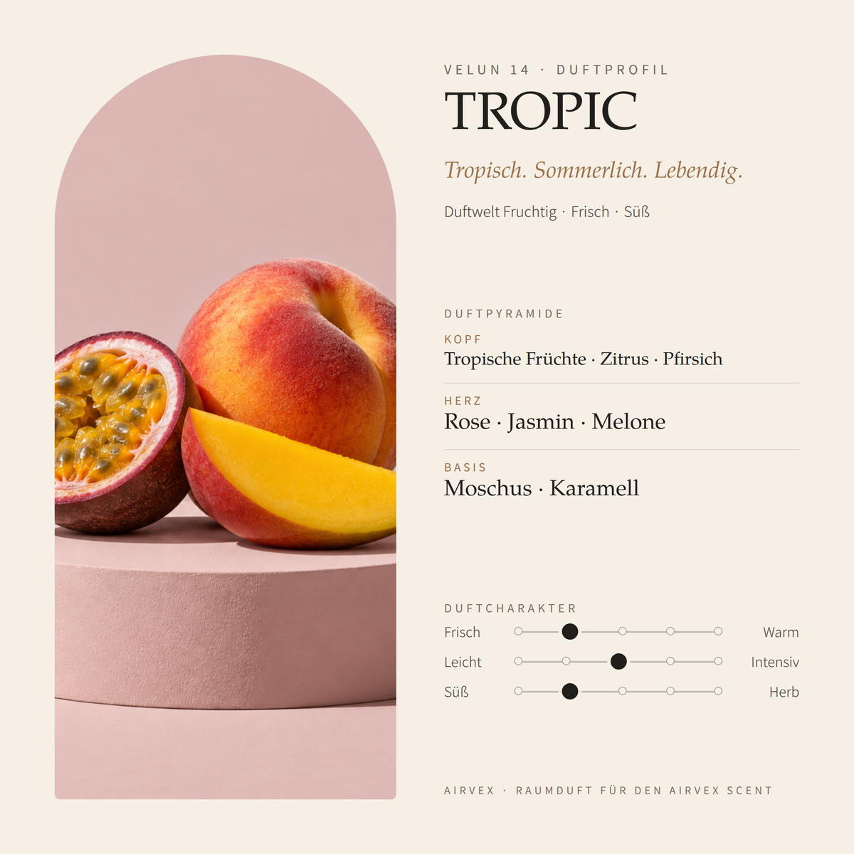 Duftprofil von VELUN 14 TROPIC: Duftpyramide mit Kopf-, Herz- und Basisnoten und Duftcharakter